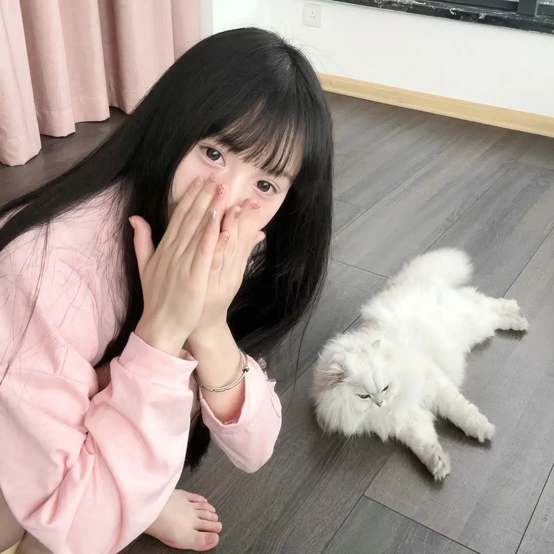不完美的正义